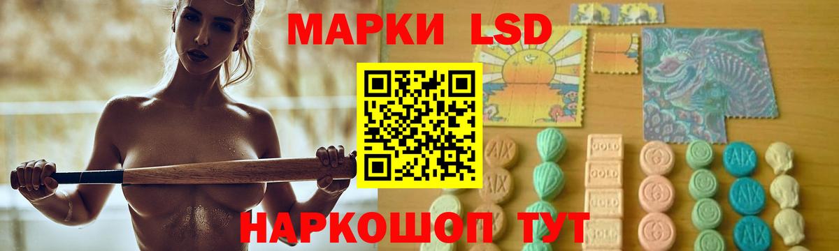 Новоалександровск  Лсд 25 экстази кислота  Вход с VPN  ЛСД экстази кислота 