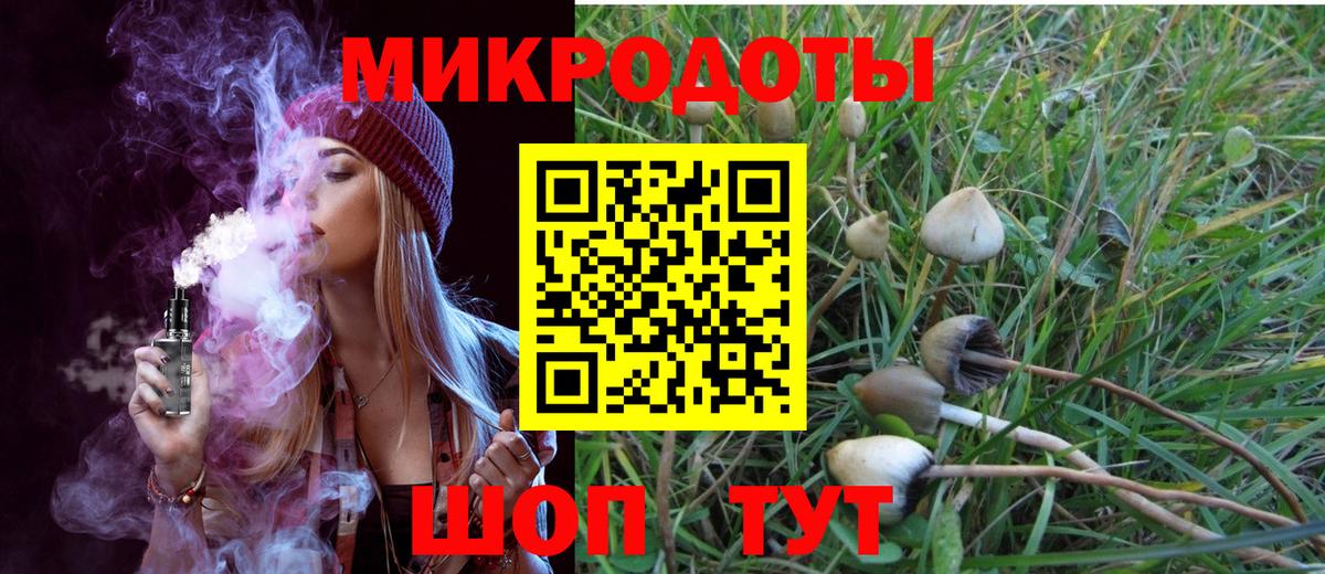 Псилоцибиновые грибы ЛСД  купить наркотики сайты  Новоалександровск  Вход с VPN 