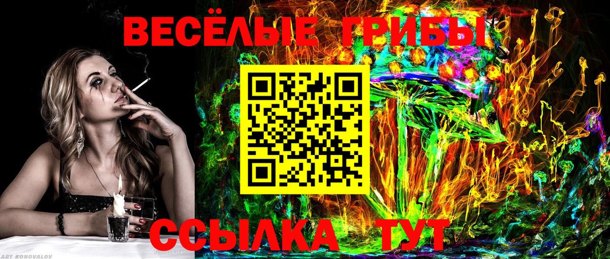 Псилоцибиновые грибы Magic Shrooms Новоалександровск
